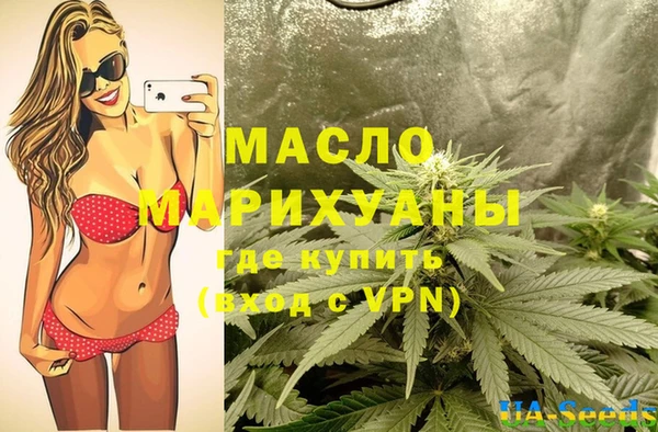 хмурый Арсеньев