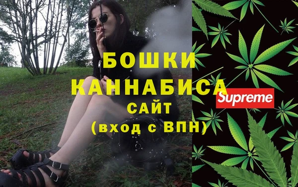хмурый Арсеньев