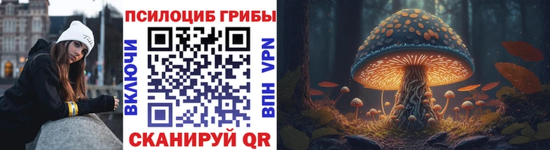 Псилоцибиновые грибы Magic Shrooms  blacksprut маркетплейс  Карасук 