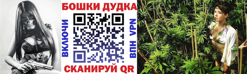 МАРИХУАНА ГИДРОПОН  Карасук 